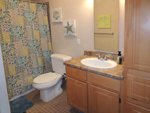 Cambridge_Place-model-bath-4747-950